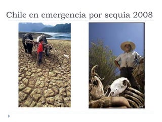 Rol del medico veterinario en desastres naturales | PDF