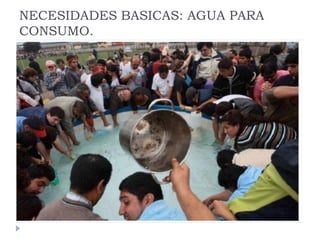 Rol del medico veterinario en desastres naturales | PDF