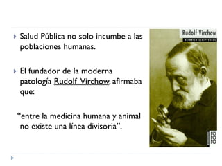 Rol del medico veterinario en desastres naturales | PDF