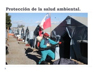 Rol del medico veterinario en desastres naturales | PDF