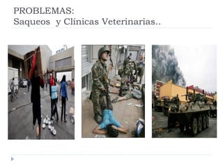 Rol del medico veterinario en desastres naturales | PDF