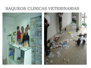 Rol del medico veterinario en desastres naturales | PDF