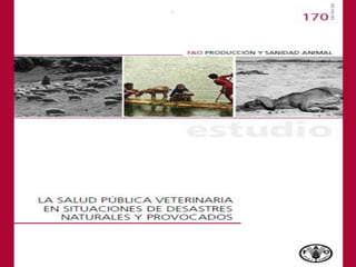Rol del medico veterinario en desastres naturales | PDF