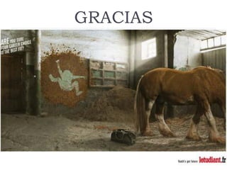 Rol del medico veterinario en desastres naturales | PDF