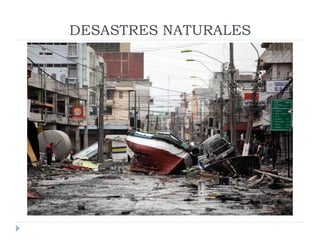 Rol del medico veterinario en desastres naturales | PDF