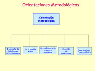 Orientaciones Metodológicas

                                   Orientación
                                   Metodológica




 Desarrollo de                      Retroalimentación    Creación
                   Participación                                     Experiencias y
  habilidades                          orientada            de
                      Activa                                         Oportunidades
del Pensamiento                         al cambio       Conexiones
 