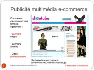 II.3.d  L’utilisation de la vidéo en ligne au Québec