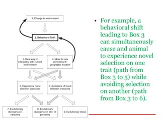 Role Of Behavior In Evolution 1 | PPT