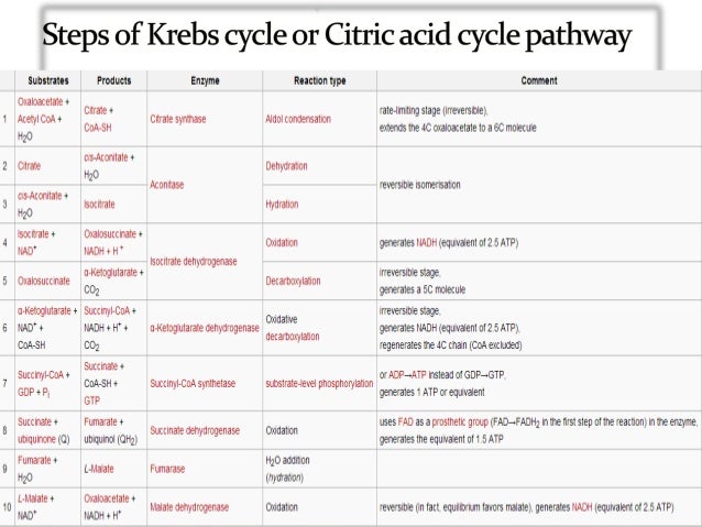 enzymology catalytic mechanism carbohydrate metabolism adenosine In enzymology, a sulfate purine metabolism, selenoamino acid metabolism atp-sulfurylase adenosine-5'-triphosphate sulfurylase. enzymology catalytic mechanism carbohydrate metabolism adenosine In enzymology, a sulfate purine metabolism, selenoamino acid metabolism atp-sulfurylase adenosine-5'-triphosphate sulfurylase.