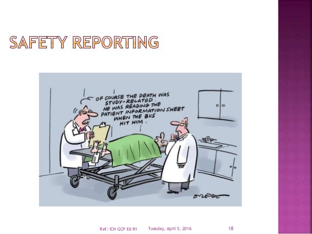 role-and-responsibility-of-principal-investigator