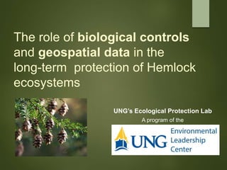 The role of biological controls
and geospatial data in the
long-term protection of Hemlock
ecosystems
A program of the
UNG’s Ecological Protection Lab
 
