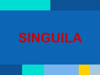 SINGUILA
 