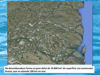Na desembocadura forma un gran delta de 10.800 km2 de superficie con numerosos
brazos, que se extende 100 km no mar.

 
