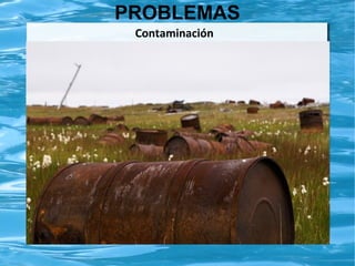 PROBLEMAS
Contaminación

 