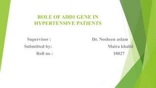 ROLE OF ADD1 GENE IN
HYPERTENSIVE PATIENTS
Supervisor : Dr. Nosheen aslam
Submitted by: Maira khalid
Roll no : 18027
 