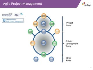 20 
Agile Project Management 
Project 
Level 
Solution 
Development 
Team 
Other 
Roles 
 
