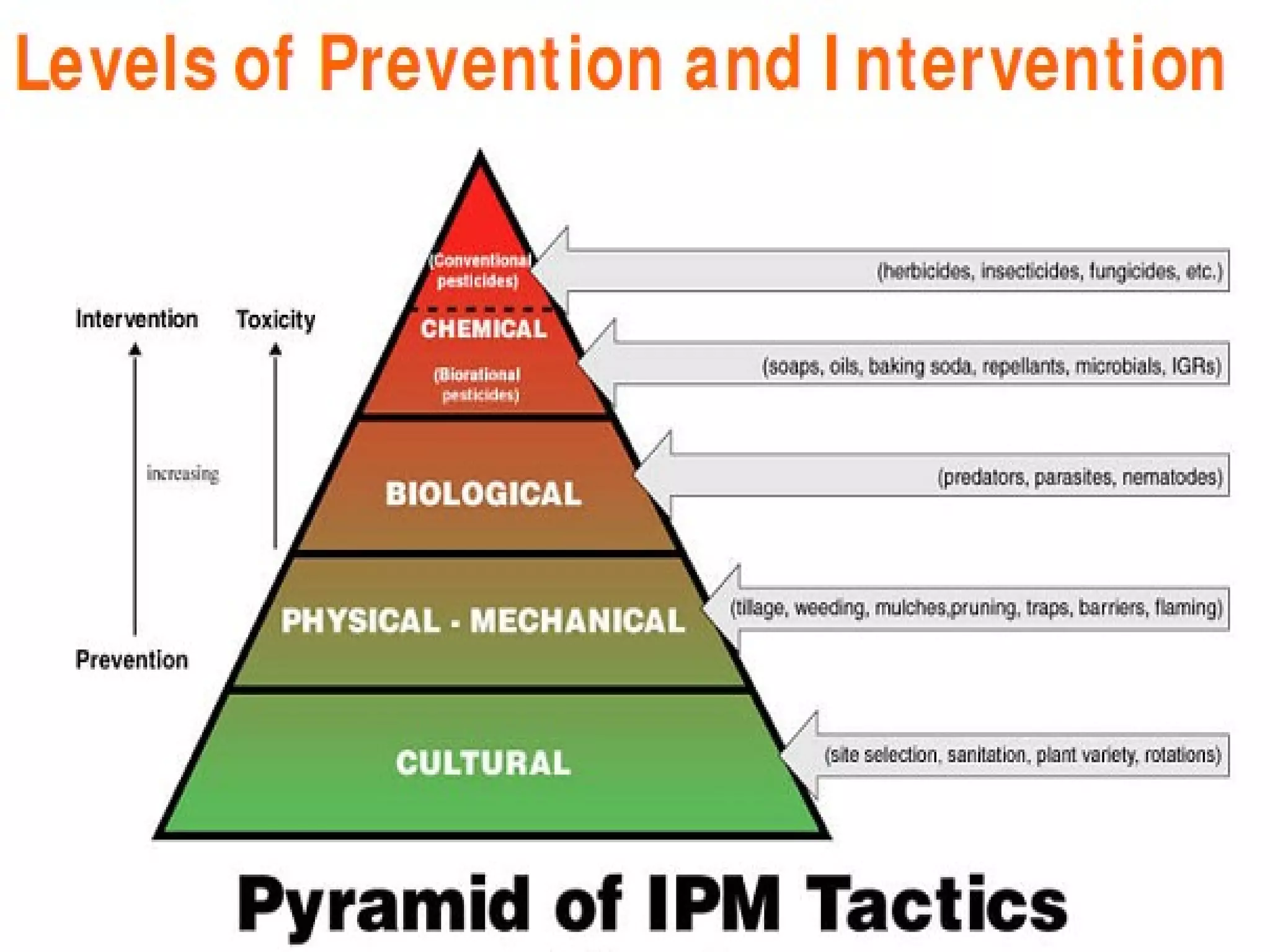 Role of agriculture extension in ipm A Lecture By Mr.Allah Dad Khan ...