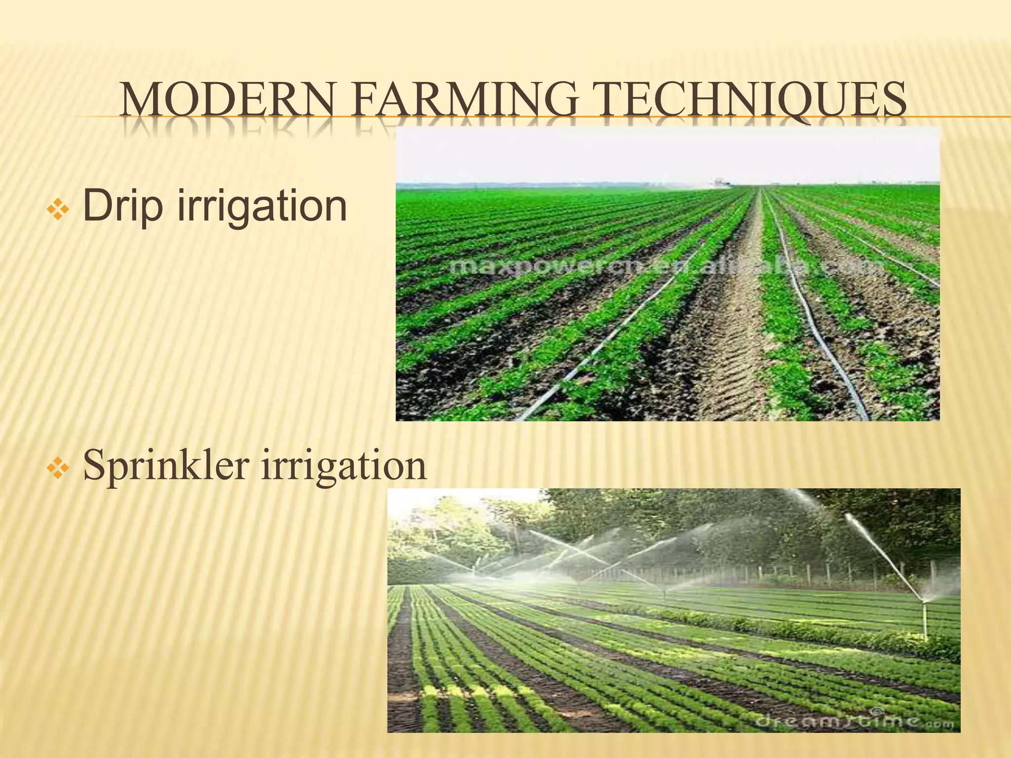 Role of agriculture in economic development | PPTX