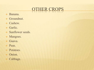 Role of agriculture in economic development | PPTX
