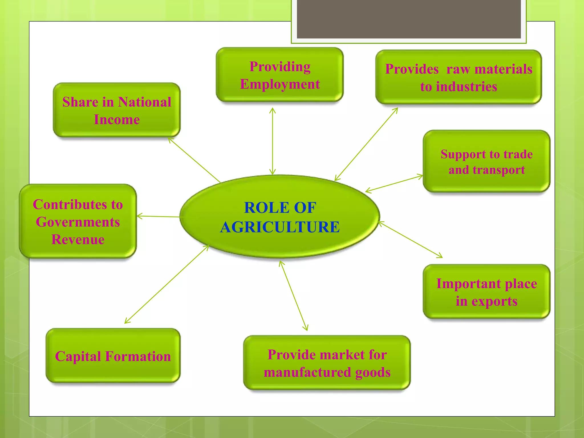 Role of Agriculture in Indian Economy | PPTX