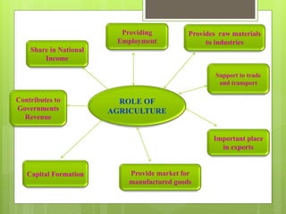 Role of Agriculture in Indian Economy | PPTX