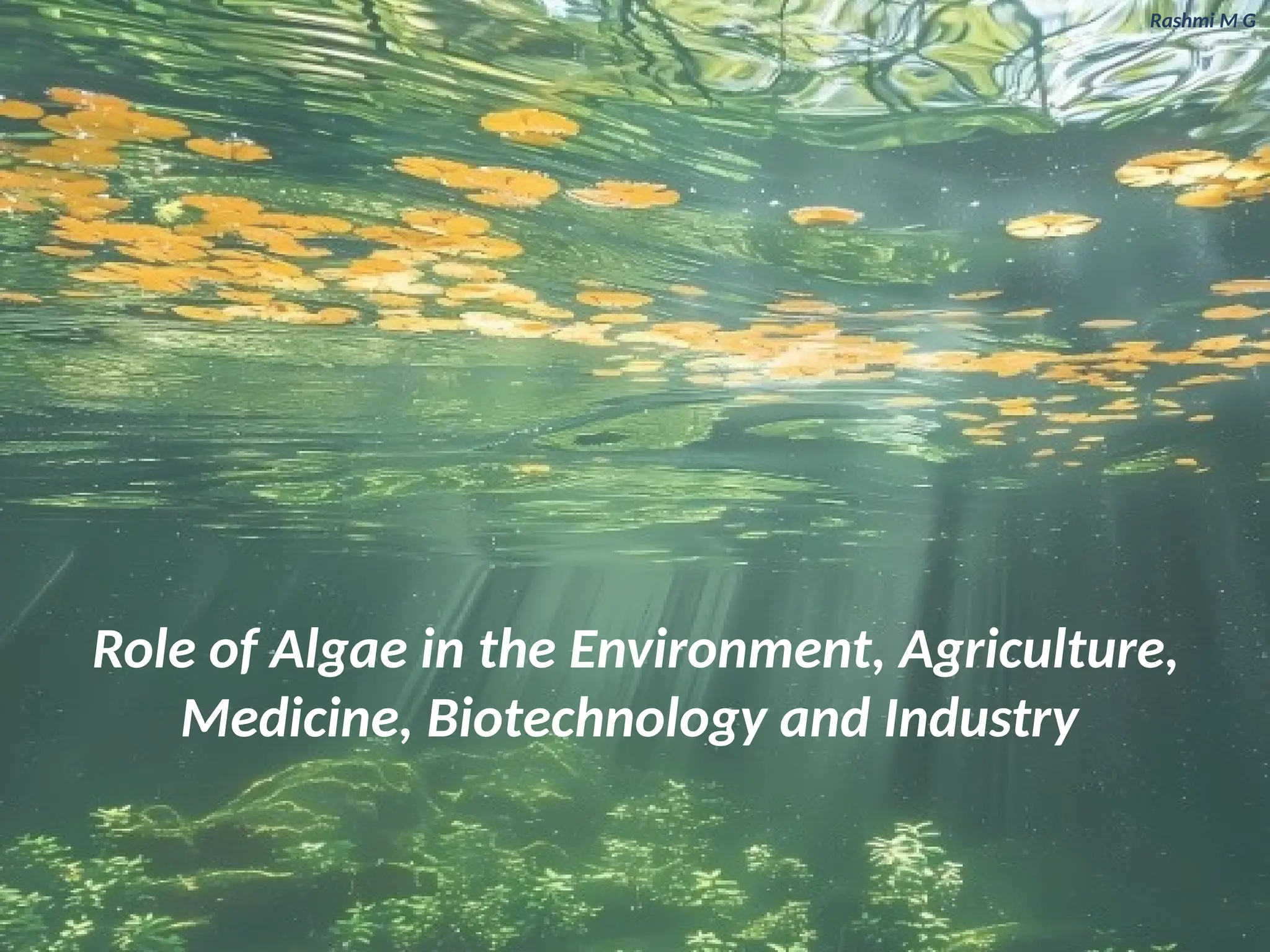 Role of Algae in the environment, economy, agriculture, medicine