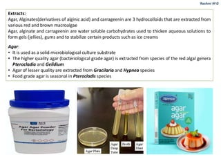 Algaia Role of Algae in the environment, agriculture, Medicine, Food ...