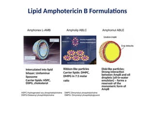 Role of amphotericin B in management of IFI.pptx