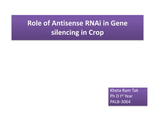 Role of antisense RNAi in gene silencing in crop | PPTX