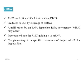 Role of antisense RNAi in gene silencing in crop | PPTX