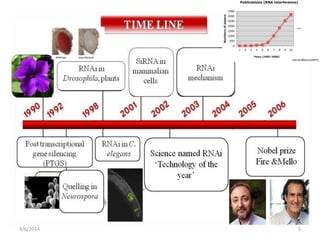 Role of antisense RNAi in gene silencing in crop | PPTX