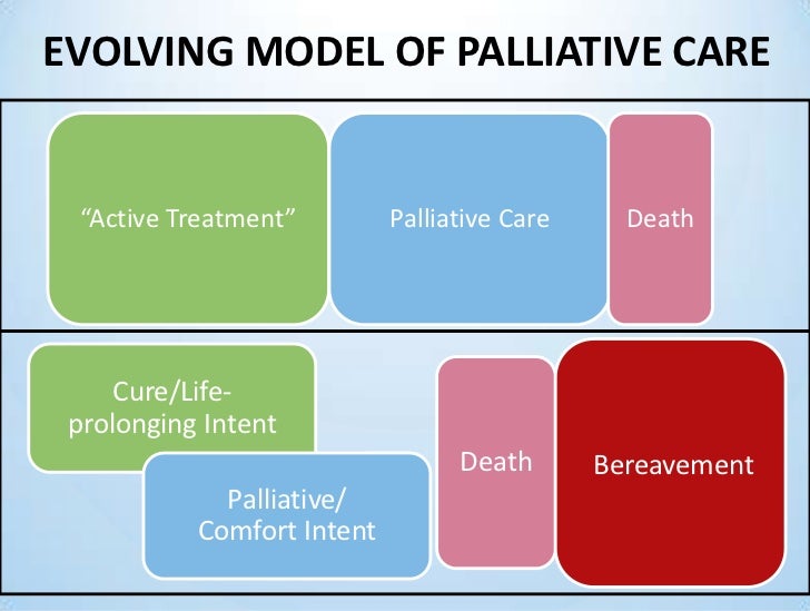 Role of a nurse in palliative care