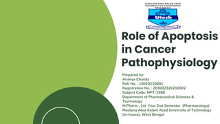 Role of Apoptosis
in Cancer
Pathophysiology
Prepared by:
Ananya Chanda
Roll No. : 10020220001
Registration No. : 203002320210002
Subject Code: MPT-2986
Department of Pharmaceutical Sciences &
Technology
M.Pharm , 1st Year 2nd Semester (Pharmacology)
Maulana Abul Kalam Azad University of Technology
(In-house), West Bengal
 