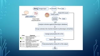 Role of Artificial Intelligence in Clinical Microbiology.pptx