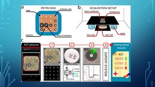 Role of Artificial Intelligence in Clinical Microbiology.pptx