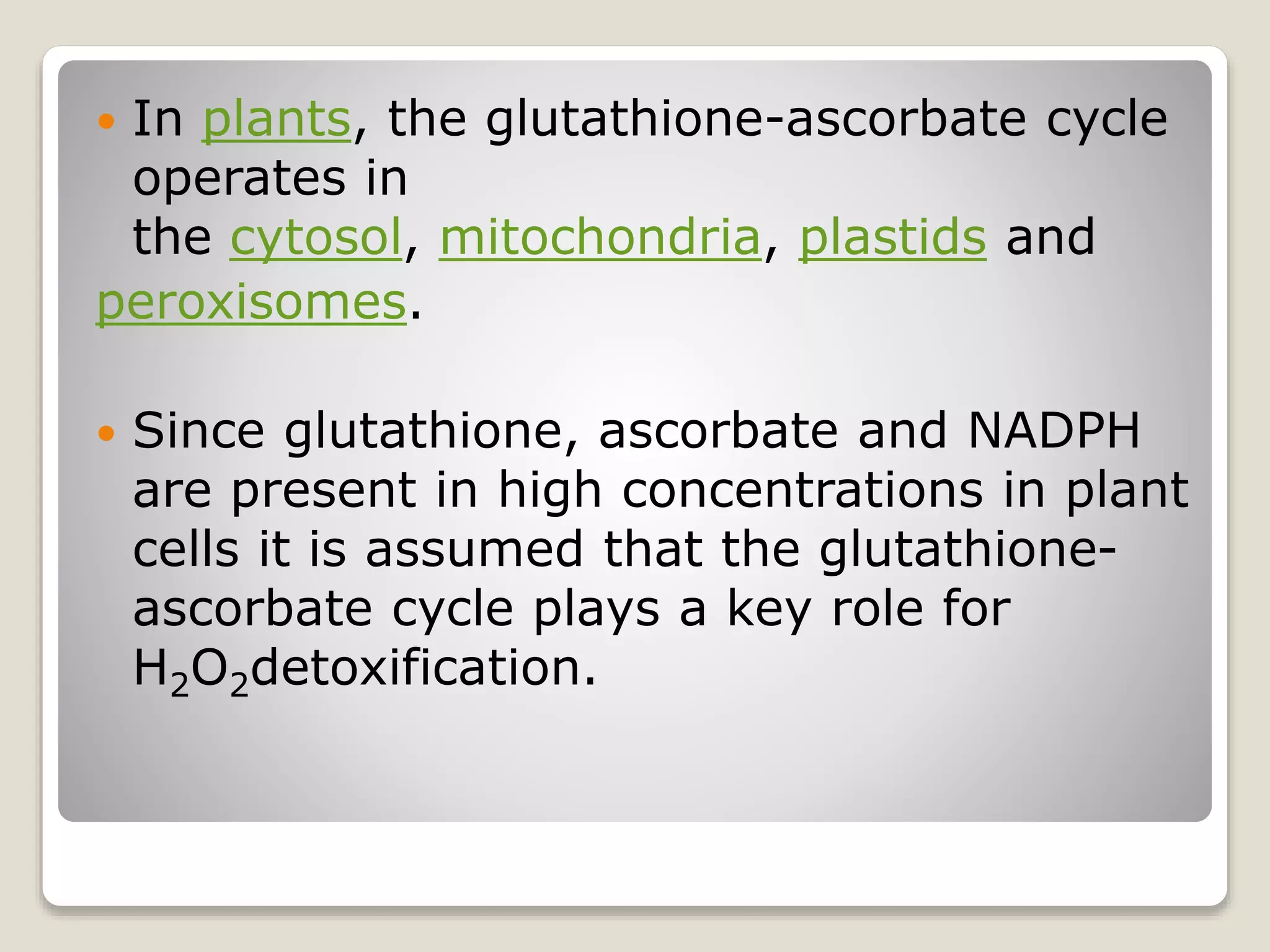 glutathione peroxidase in plants Functions of plants. GPX-guaiacol peroxidase, Oxidative stress, antioxidants and stress