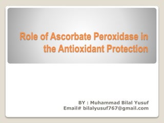 Role of Ascorbate Peroxidase in
the Antioxidant Protection
BY : Muhammad Bilal Yusuf
Email# bilalyusuf767@gmail.com
 