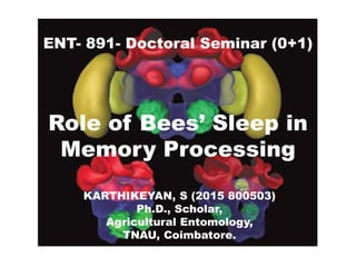 Role of Bees’ Sleep in
Memory Processing
ENT- 891- Doctoral Seminar (0+1)
KARTHIKEYAN, S (2015 800503)
Ph.D., Scholar,
Agricultural Entomology,
TNAU, Coimbatore.
 