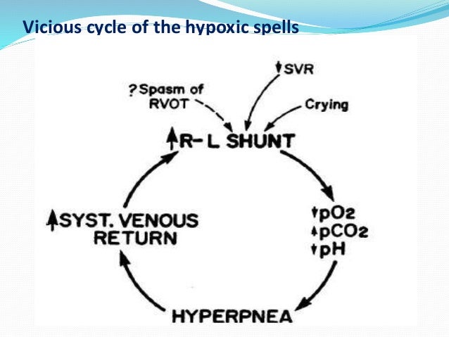 Atenolol Dosing Pediatrics
