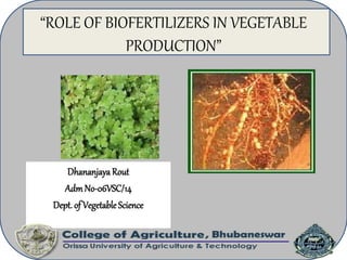 “ROLE OF BIOFERTILIZERS IN VEGETABLE
PRODUCTION”
DhananjayaRout
AdmNo-06VSC/14
Dept.of Vegetable Science
 