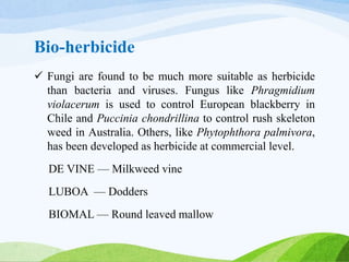 Role of Bio Agriculture in biotechnology industry | PPTX