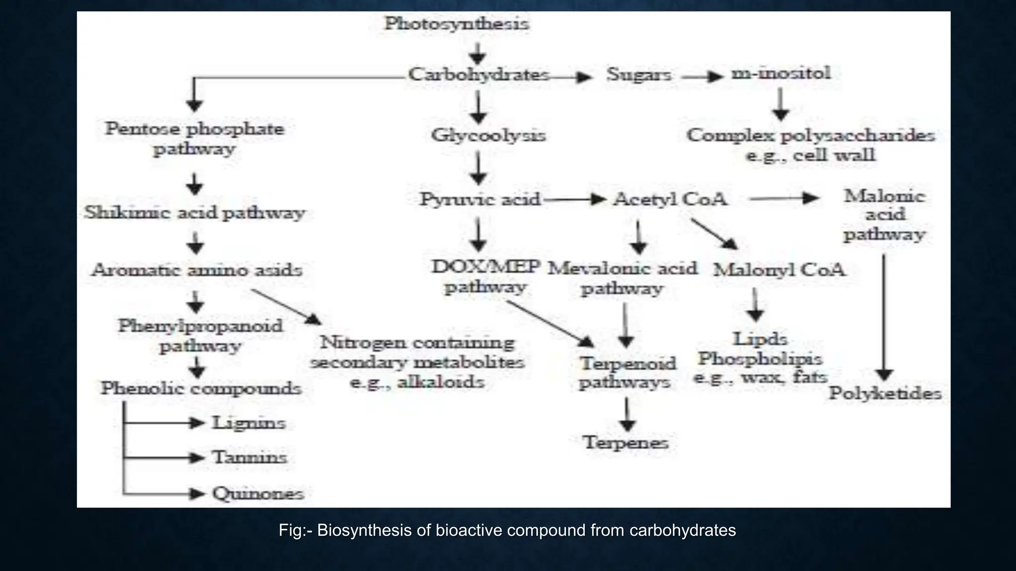 Fig:- Biosynthesis of bioactive compound from carbohydrates
 