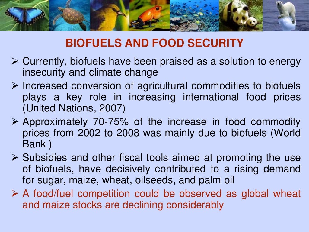 Role of biodiversity in food security Biology Diagrams