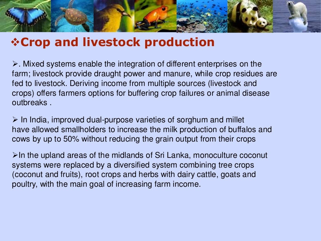 Role of biodiversity in food security Biology Diagrams