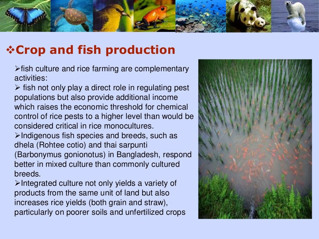Role of biodiversity in food security Biology Diagrams