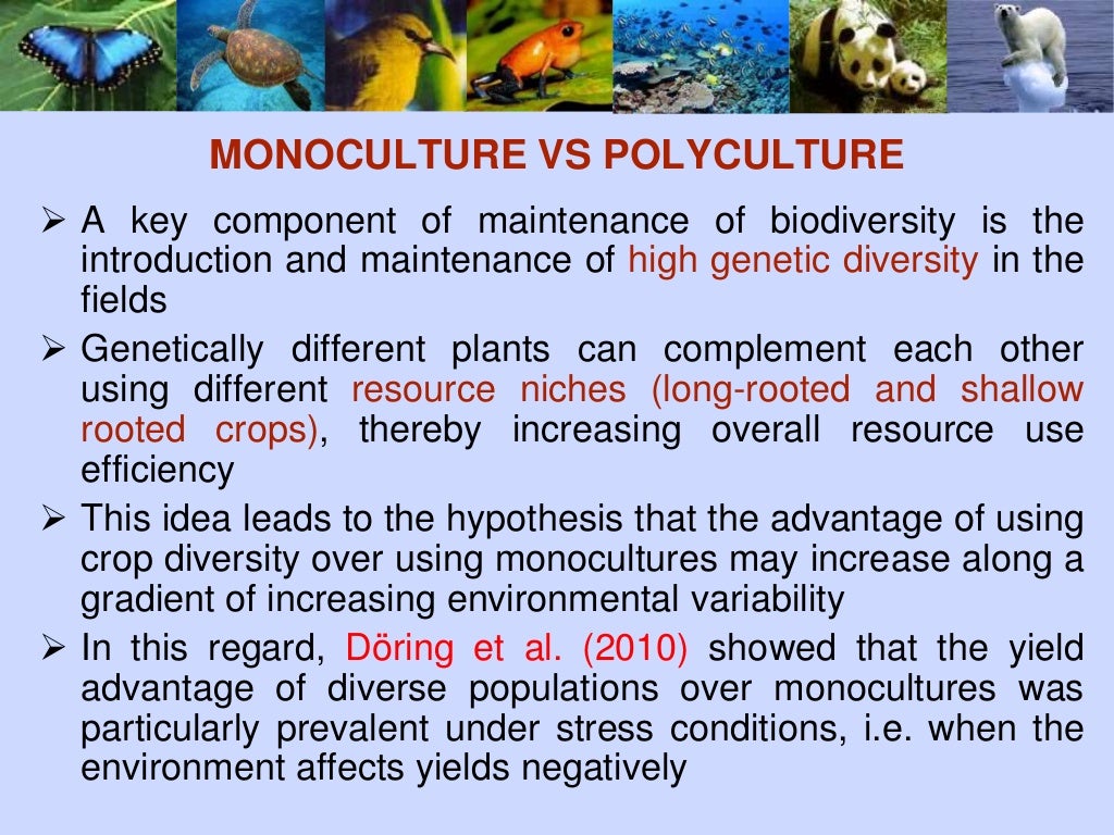Role of biodiversity in food security Biology Diagrams