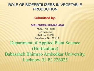 ROLE OF BIOFERTILIZERS IN VEGETABLE
PRODUCTION
Submitted by-
MAHENDRA KUMAR ATAL
M.Sc. (Ag.) Hort.
3rd Semester
Roll No. 15058
Enrollment No. 225/15
Department of Applied Plant Science
(Horticulture)
Babasaheb Bhimrao Ambedkar University,
Lucknow (U.P.) 226025
 