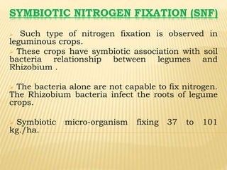 SYMBIOTIC NITROGEN FIXATION (SNF)
 Such type of nitrogen fixation is observed in
leguminous crops.
 These crops have symbiotic association with soil
bacteria relationship between legumes and
Rhizobium .
 The bacteria alone are not capable to fix nitrogen.
The Rhizobium bacteria infect the roots of legume
crops.
 Symbiotic micro-organism fixing 37 to 101
kg./ha.
 