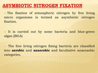 ASYMBIOTIC NITROGEN FIXATION
 The fixation of atmospheric nitrogen by free living
micro organisms is termed as asymbiotic nitrogen
fixation.
 It is carried out by some bacteria and blue-green
algae.(BGA)
 The free living nitrogen fixing bacteria are classified
into aerobic and anaerobic and facultative anaeraobic
categories.
 
