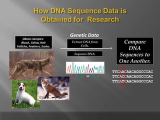 Role of bioinformatics in life sciences research | PPT